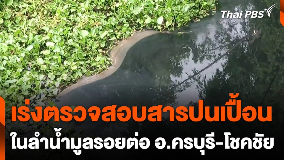 เร่งตรวจสอบสารปนเปื้อนในลำน้ำมูลรอยต่อ อ.ครบุรี-โชคชัย