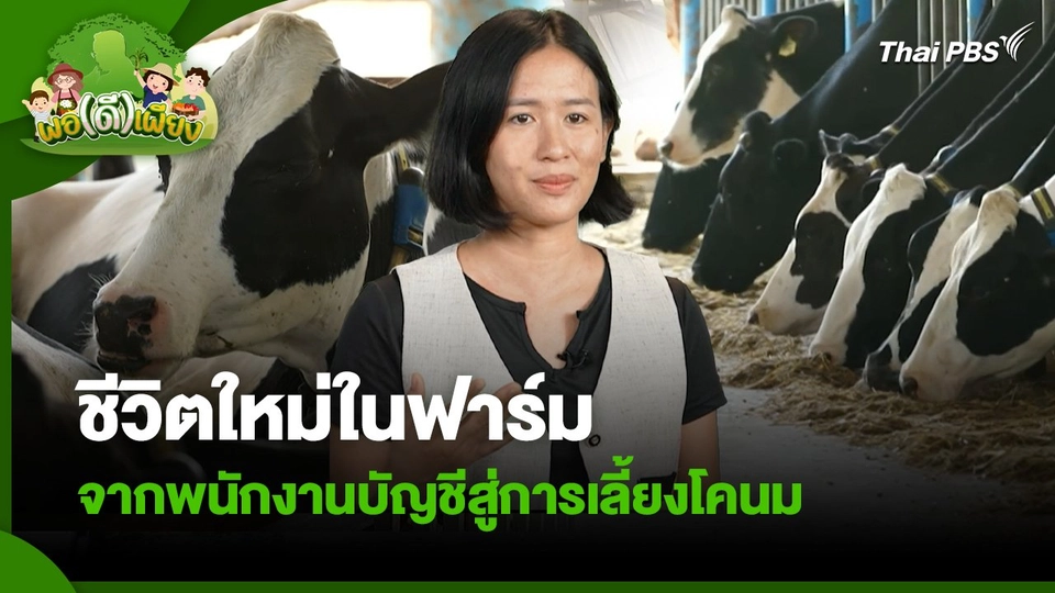 พอดีพอเพียง : ชีวิตใหม่ในฟาร์ม จากพนักงานบัญชีสู่การเลี้ยงโคนม