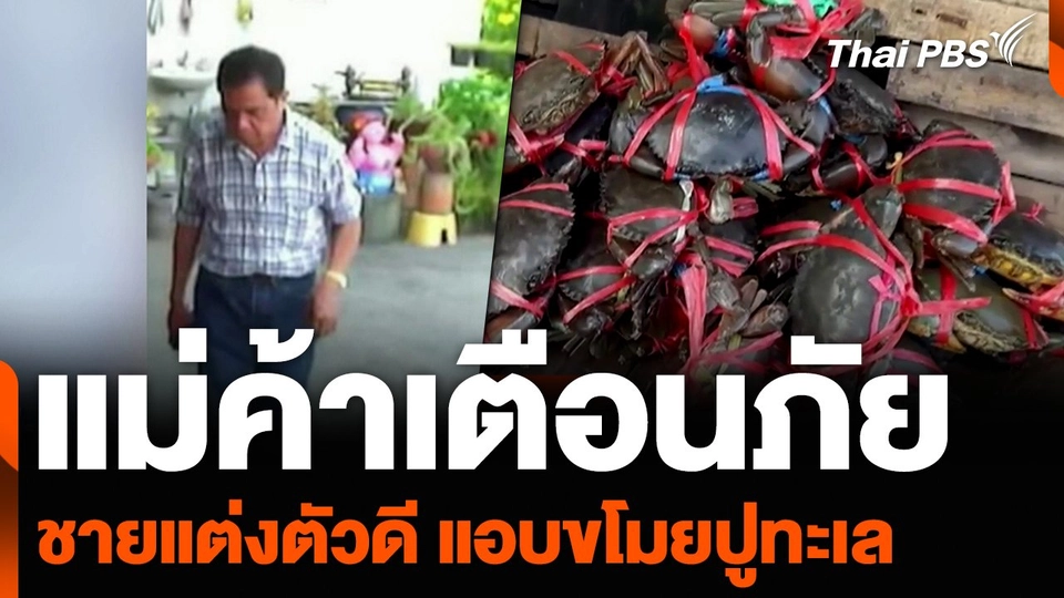แม่ค้าเตือนภัย ชายแต่งตัวดี แอบขโมยปูทะเล