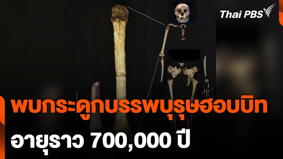 วิจัยพบซากกระดูกมนุษย์แคระ สูง 1 เมตร ที่อินโดนีเซีย