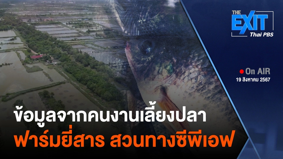 ​The Exit : เปิดข้อมูลจากคนงานเลี้ยงปลาหมอคางดำ สวนทางซีพีเอฟ