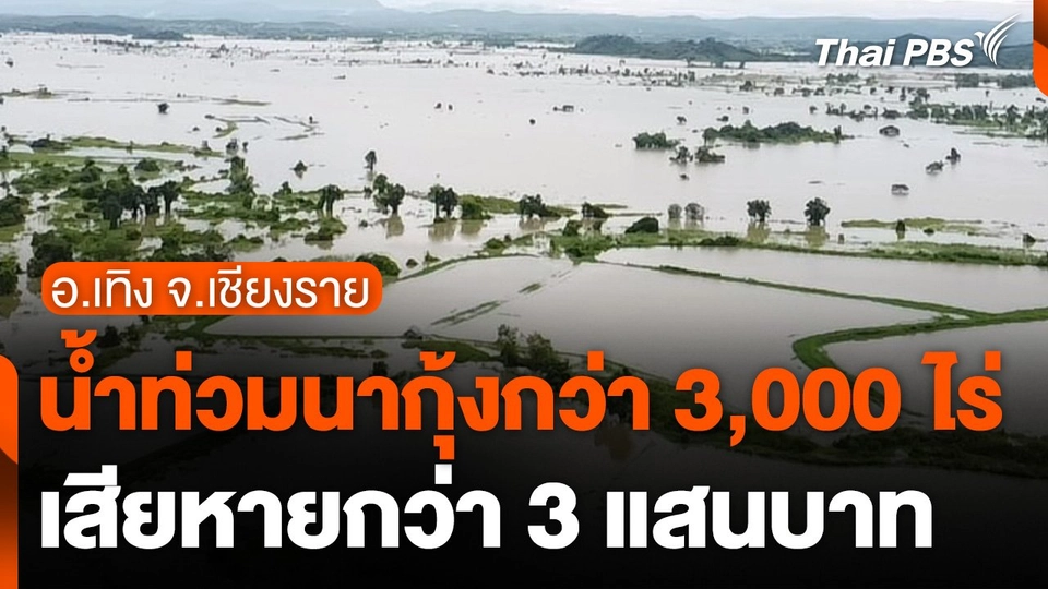 น้ำท่วมนากุ้ง อ.เทิง จ.เชียงราย กว่า 3,000 ไร่
