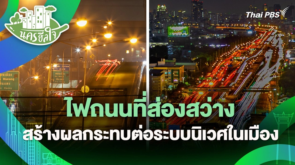 นครฮีลใจ : ไฟถนนที่ส่องสว่าง สร้างผลกระทบต่อระบบนิเวศในเมือง