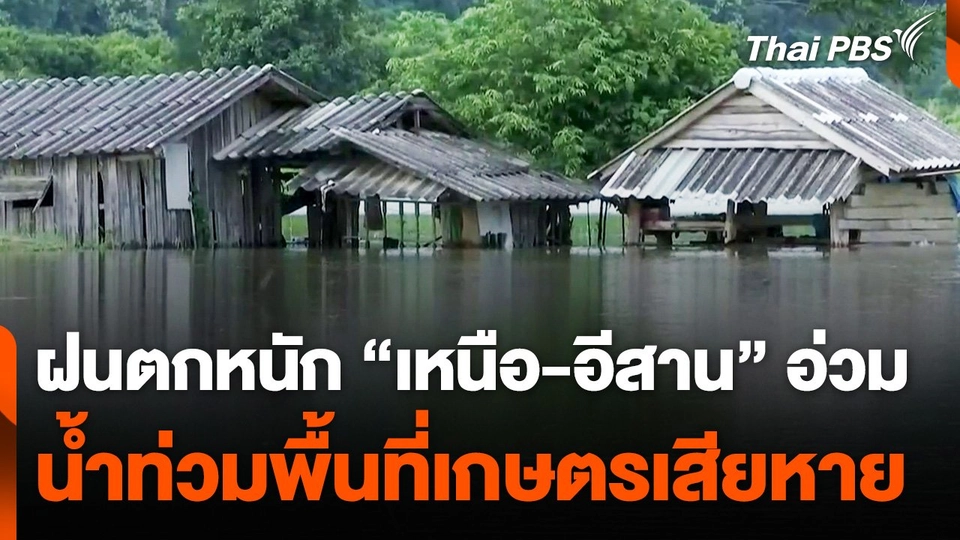 ฝนตกหนัก "เหนือ-อีสาน" อ่วม น้ำท่วมพื้นที่เกษตรเสียหาย