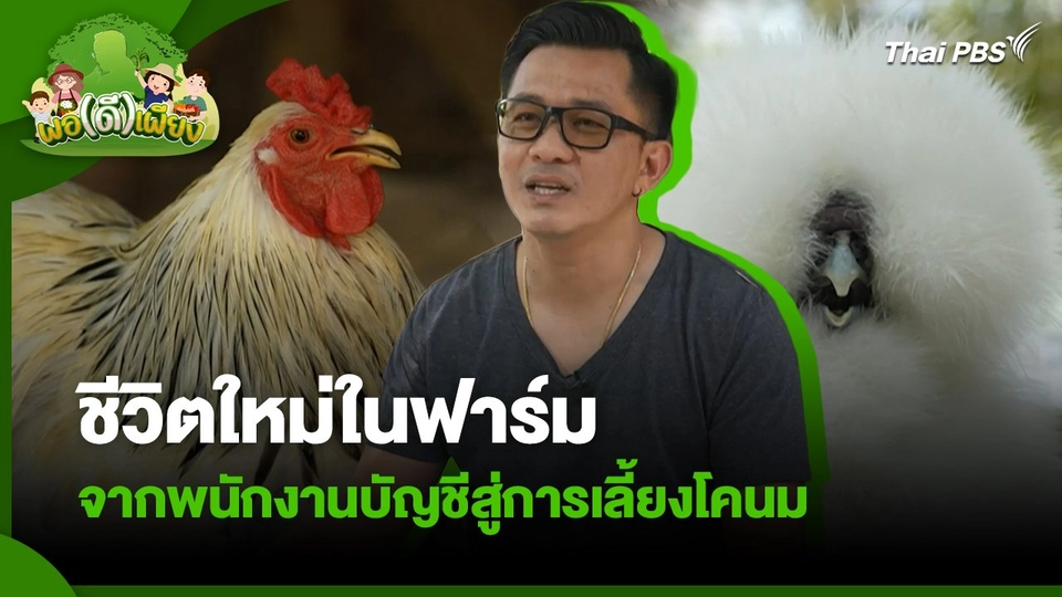 พอดีพอเพียง : ปลดปล่อยจากความเสี่ยง สู่การเลี้ยงไก่สวยงามอย่างยั่งยืน