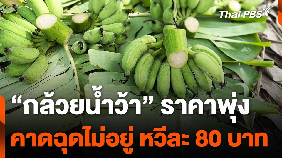 "กล้วยน้ำว้า" ราคาพุ่ง 60 บาท คาดฉุดไม่อยู่หวีละ 80 บาท