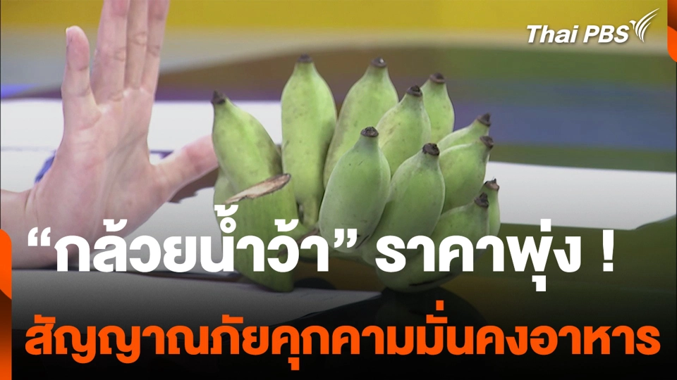 “กล้วยน้ำว้า” ราคาพุ่ง ! สัญญาณภัยคุกคามมั่นคงอาหาร