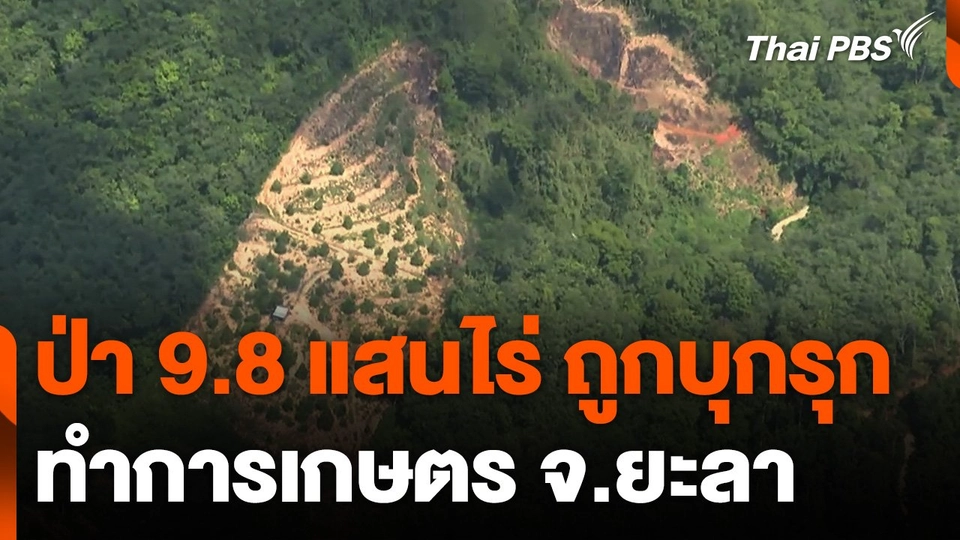 ป.ป.ช.ภาค 9 สำรวจผืนป่าถูกบุกรุก จ.ยะลา