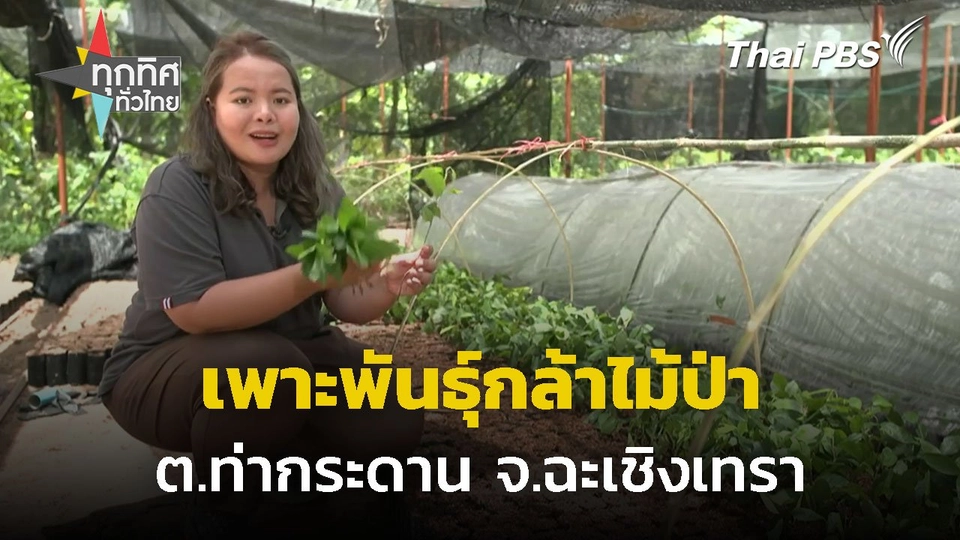 เพาะพันธุ์กล้าไม้ป่าสร้างอาชีพให้ชุมชน