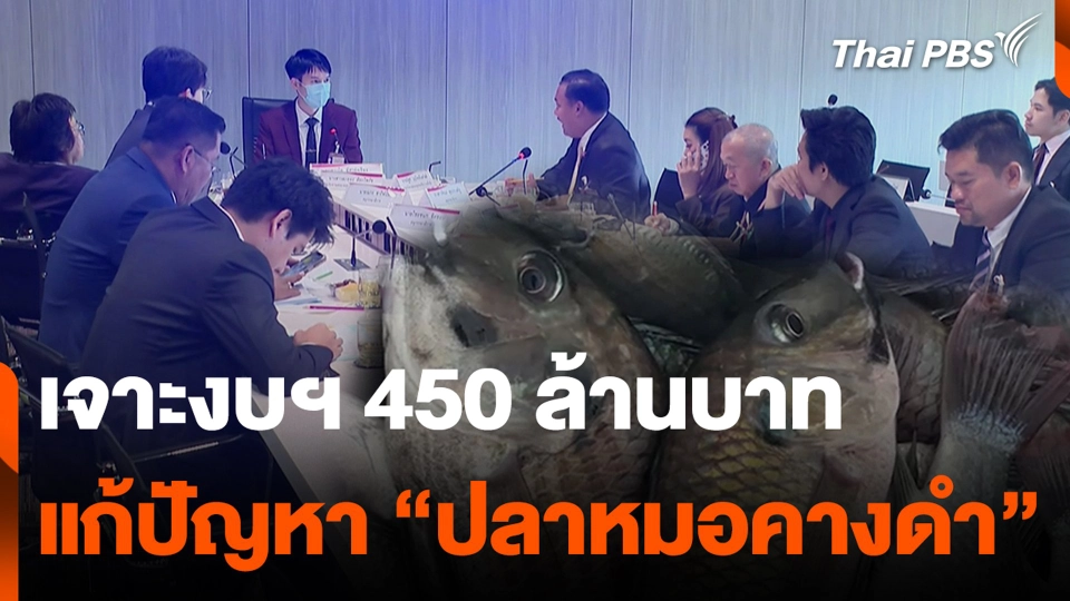 เจาะงบฯ 450 ล้านบาท แก้ปัญหา “ปลาหมอคางดำ”