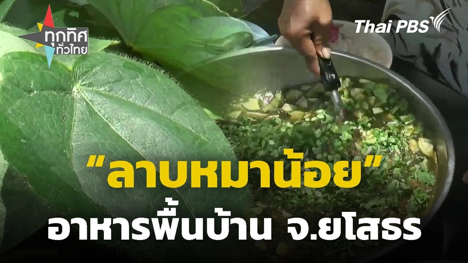 ลาบหมาน้อยอาหารพื้นบ้าน จ.ยโสธร