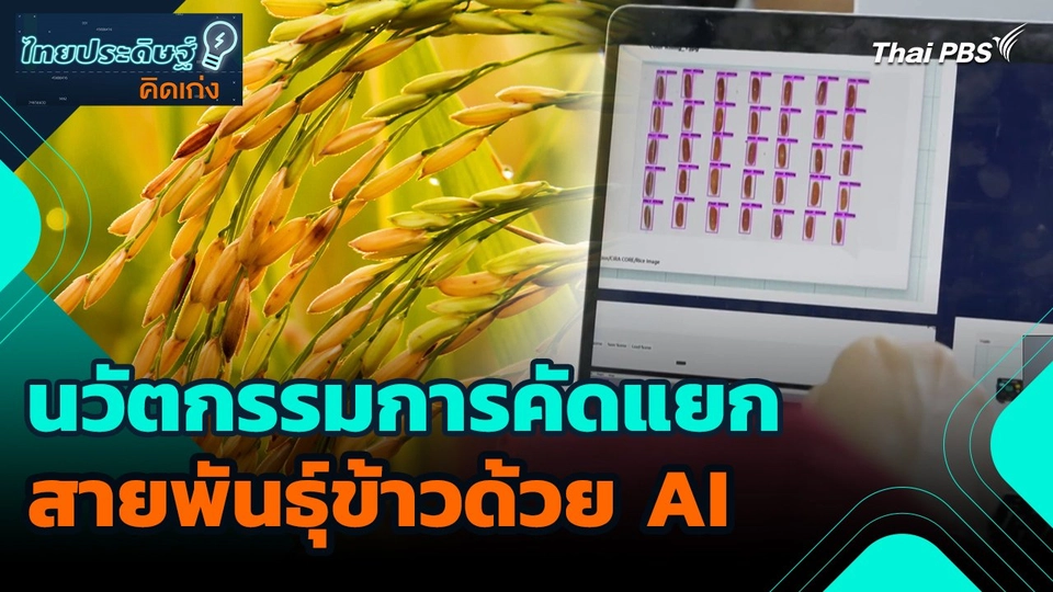 ไทยประดิษฐ์คิดเก่ง : นวัตกรรมการคัดแยกสายพันธุ์ข้าวด้วย AI