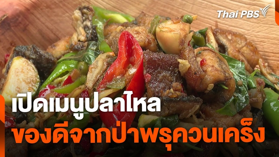 เมนูปลาไหลของดีป่าพรุควนเคร็ง