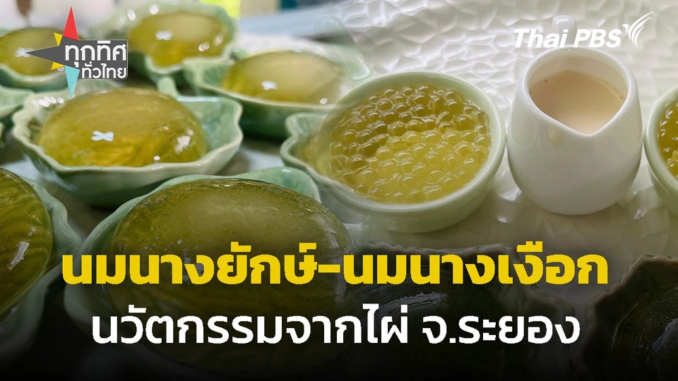 นวัตกรรมจากไผ่ต่อยอดท่องเที่ยว จ.ระยอง