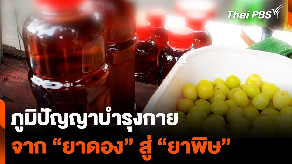 ภูมิปัญญาบำรุงกาย จาก "ยาดอง" สู่ "ยาพิษ"