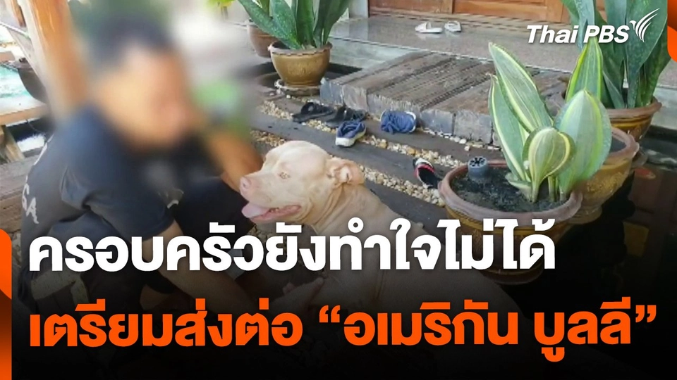 ครอบครัวผู้เสียชีวิตยังทำใจไม่ได้  เตรียมส่งต่อ "อเมริกัน บูลลี"