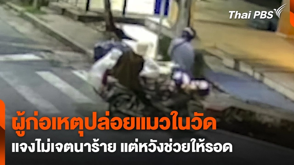 ผู้ก่อเหตุปล่อยแมวในวัด แจงไม่เจตนาร้าย แต่หวังช่วยให้รอด