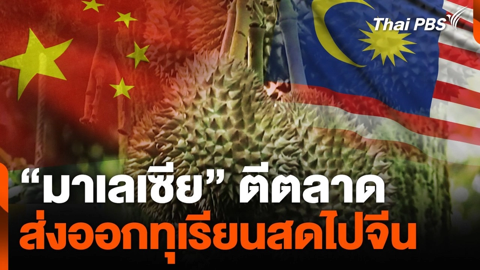 ตีตลาดส่งออกทุเรียนสดไปจีน ที่มาเลเซีย