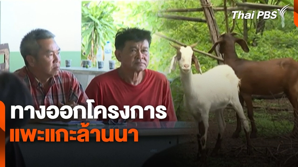 สถานีร้องเรียน : ทางออกโครงการ แพะแกะล้านนา
