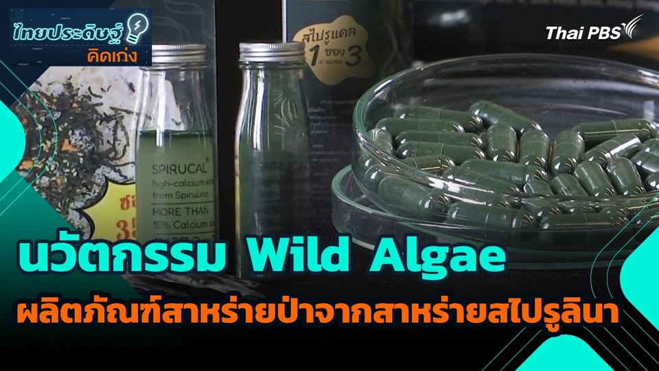 ไทยประดิษฐ์คิดเก่ง : นวัตกรรม Wild Algae ผลิตภัณฑ์สาหร่ายป่าจากสาหร่ายสไปรูลินา