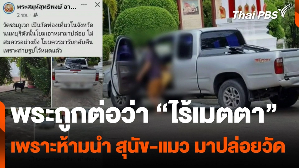 พระถูกต่อว่า “ไร้เมตตา” เพราะห้ามนำ สุนัข-แมว มาปล่อยวัด