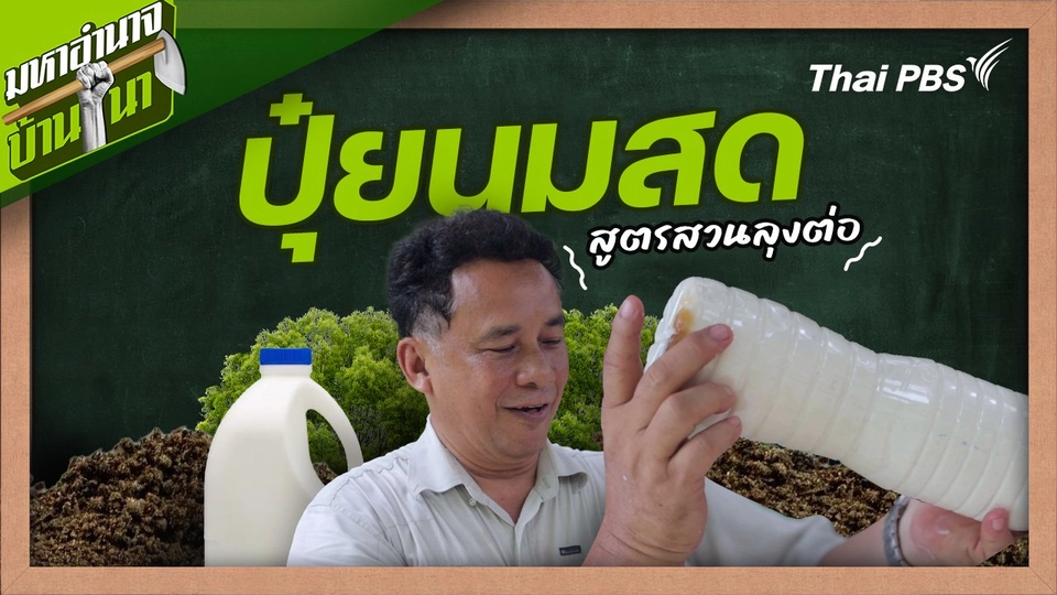 สูตรลับฉบับบ้านนา : "ปุ๋ยนมสด" สูตรสวนลุงต่อ