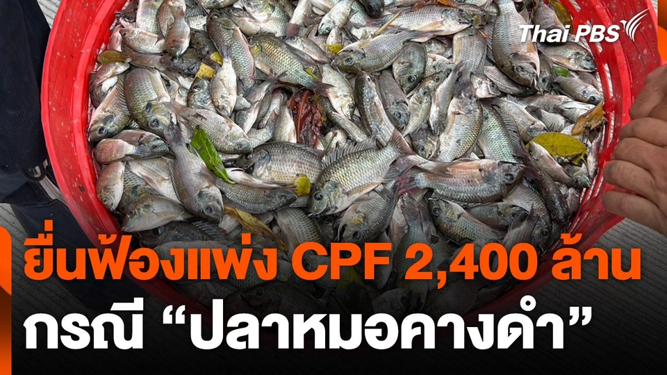 ยื่นฟ้องแพ่ง CPF 2,400 ล้าน กรณี “ปลาหมอคางดำ”