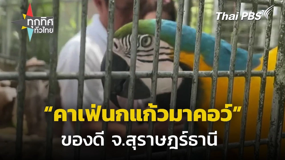 คาเฟ่นกแก้วมาคอว์ จ.สุราษฎร์ธานี