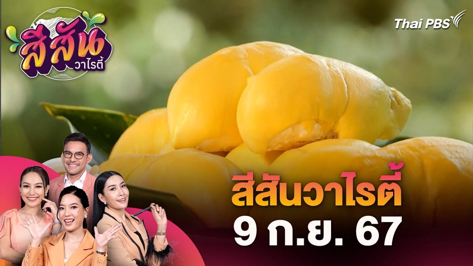 สีสันวาไรตี้ (9 ก.ย. 67) : จากชีวิตวิศวกรสู่เส้นทางเกษตรกรสวนทุเรียน