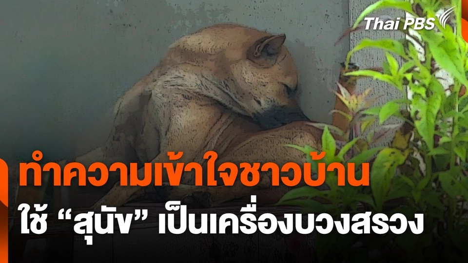 ทำความเข้าใจชาวบ้านถึงการใช้ "สุนัข" เป็นเครื่องบวงสรวง