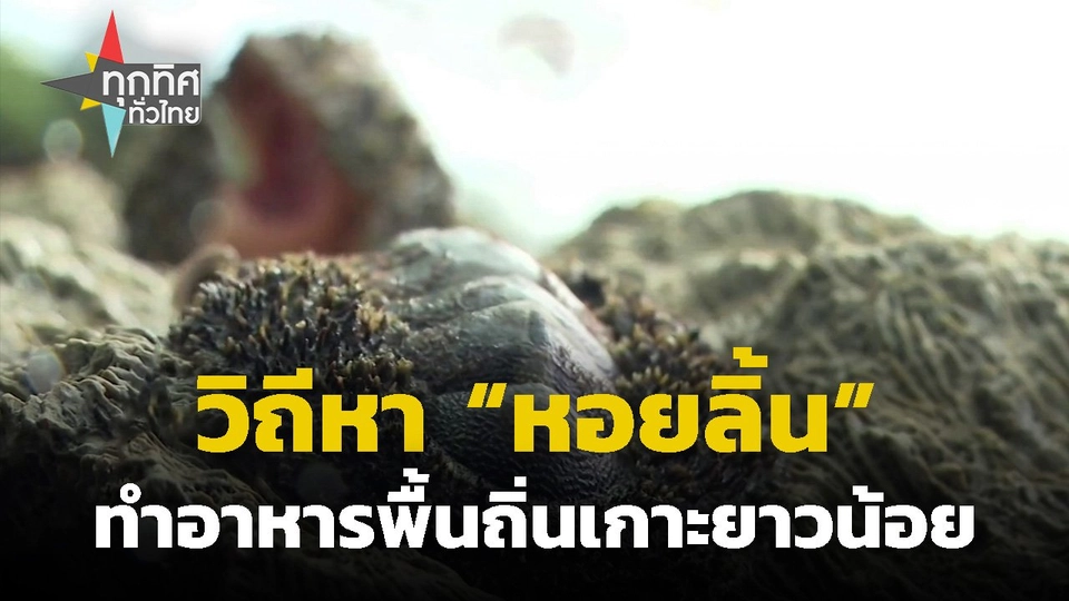 วิถีหา "หอยลิ้น" ทำอาหารพื้นถิ่นเกาะยาวน้อย