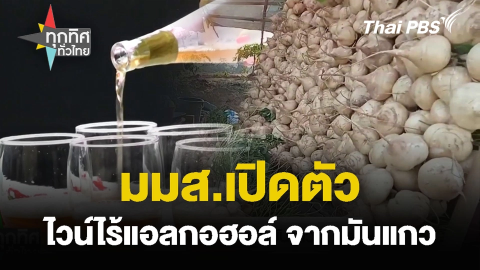 มมส.เปิดตัว ไวน์ไร้แอลกอฮอล์ จากมันแกว