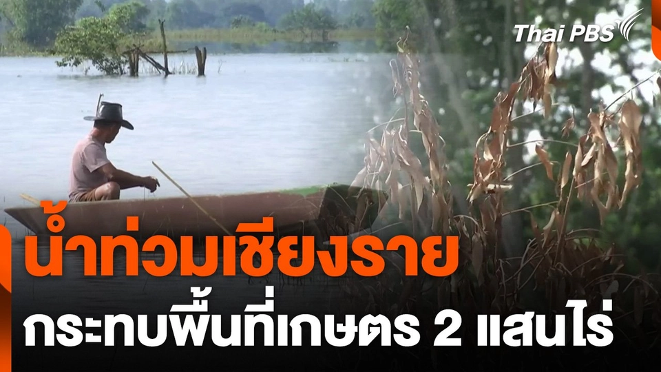 น้ำท่วมเชียงราย กระทบพื้นที่เกษตรกว่า 2 แสนไร่