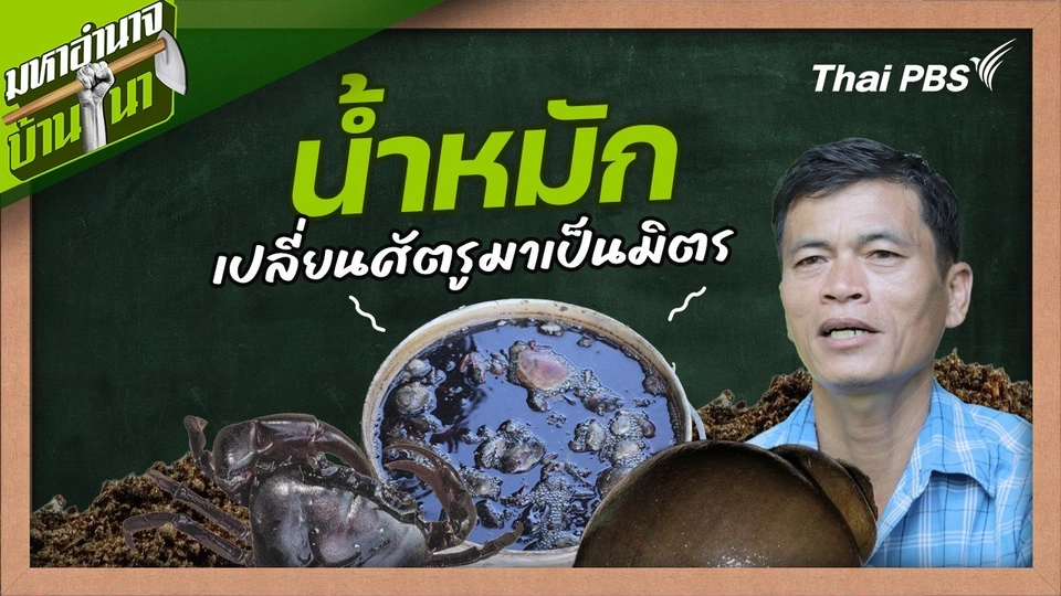 สูตรลับฉบับบ้านนา : น้ำหมักเปลี่ยนศัตรูมาเป็นมิตร