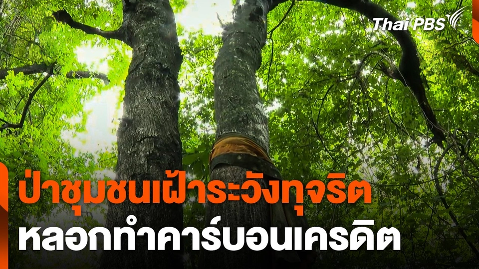 ป่าชุมชนเฝ้าระวังทุจริต-หลอกทำคาร์บอนเครดิต