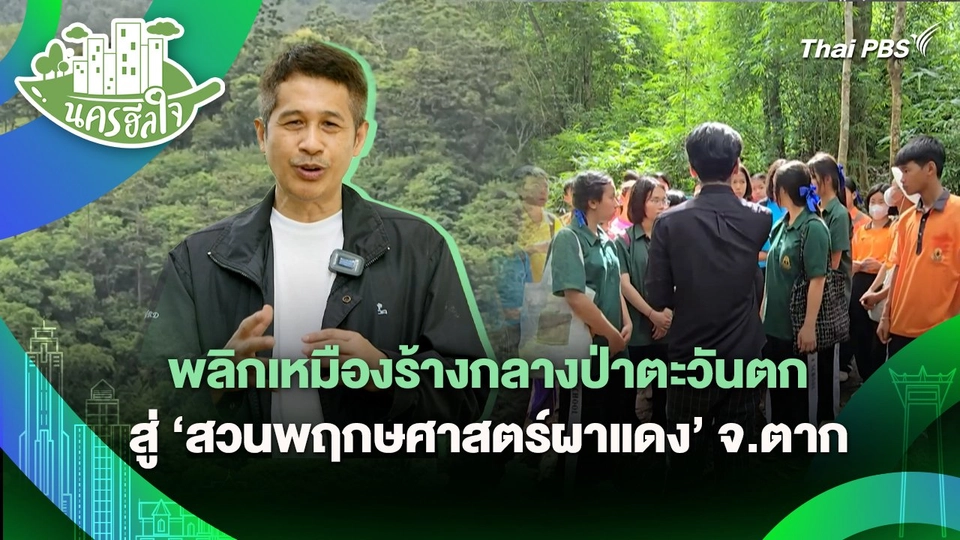 นครฮีลใจ : พลิกเหมืองร้างกลางป่าตะวันตกสู่ "สวนพฤกษศาสตร์ผาแดง" จ.ตาก