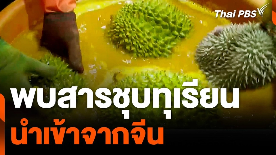 ก.เกษตรฯ พบสารชุบทุเรียนนำเข้าจากจีน