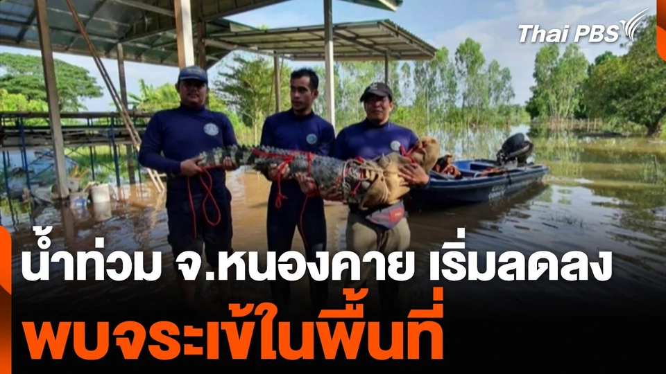 น้ำท่วม จ.หนองคาย เริ่มลดลง พบจระเข้ในพื้นที่