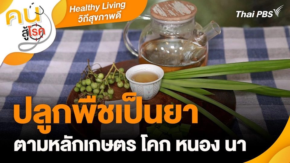 Healthy Living วิถีสุขภาพดี : ปลูกพืชเป็นยาตามหลักเกษตร โคก หนอง นา