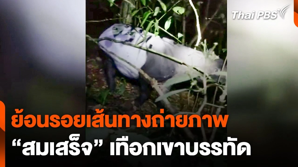 ย้อนรอยเส้นทางถ่ายภาพ "สมเสร็จ" เทือกเขาบรรทัด จ.พัทลุง