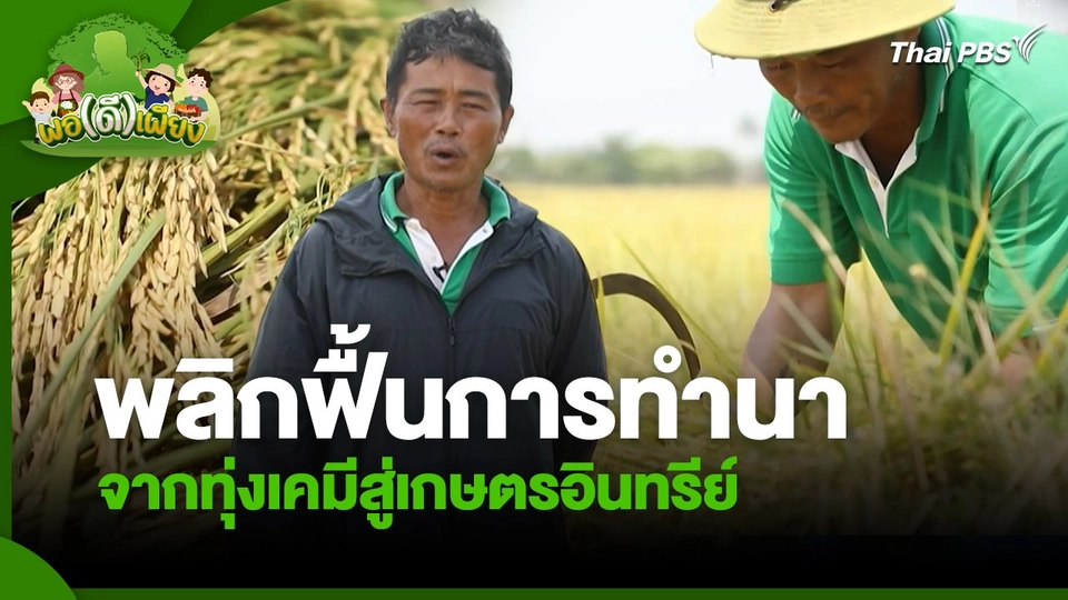 พอดีพอเพียง : พลิกฟื้นการทำนาจากทุ่งเคมีสู่เกษตรอินทรีย์