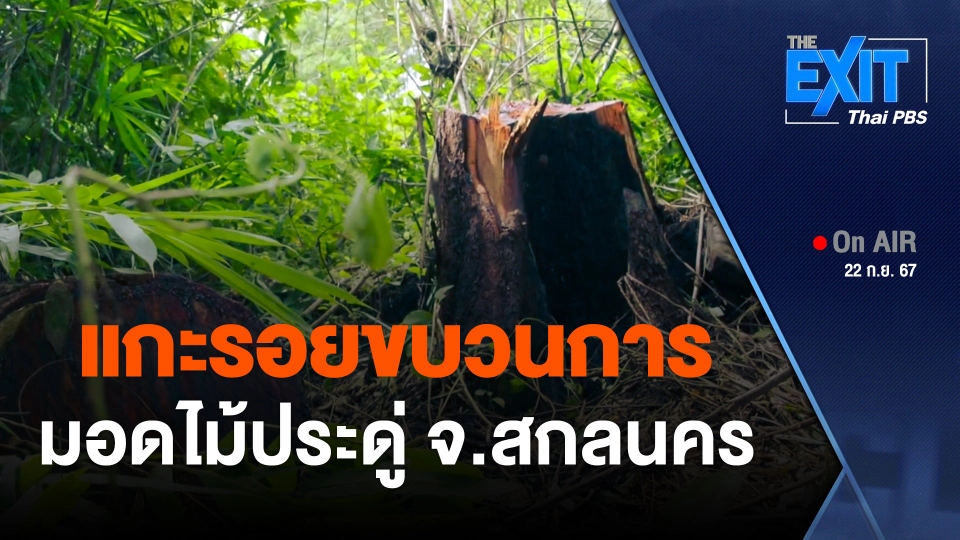 The EXIT : แกะรอยขบวนการมอดไม้ประดู่ จ.สกลนคร