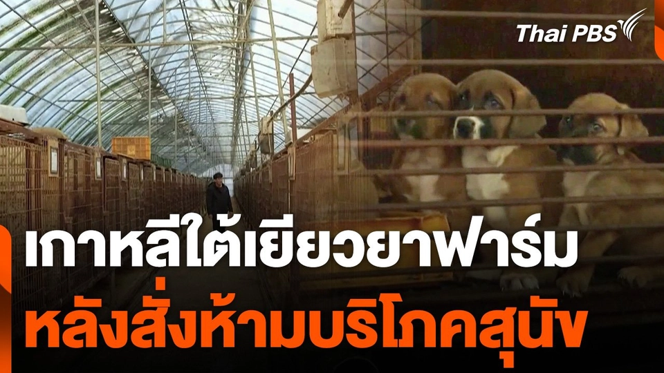 เกาหลีใต้เยียวยาฟาร์มหลังสั่งห้ามบริโภคสุนัข