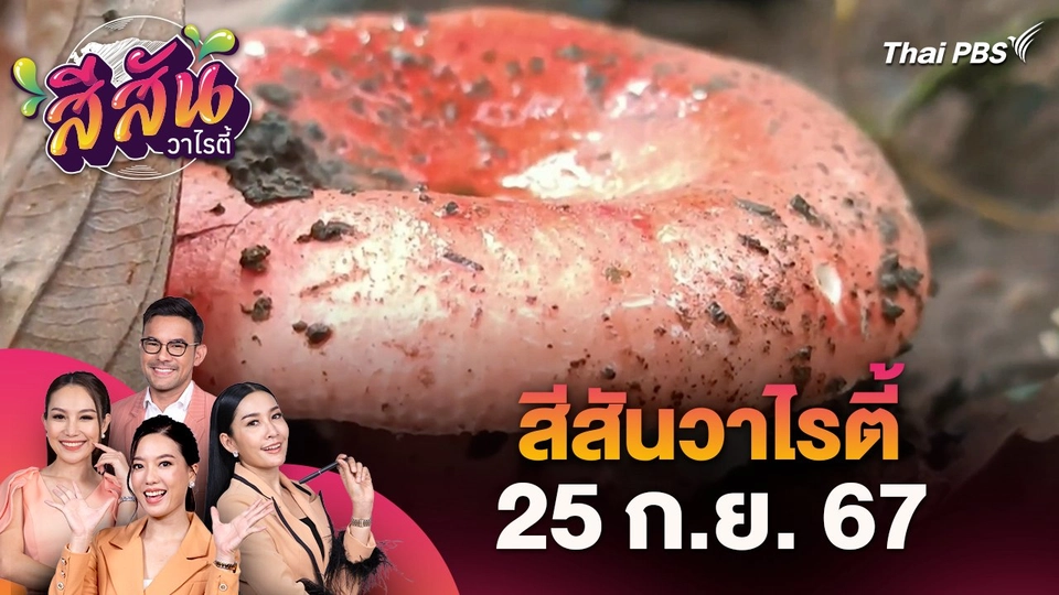 สีสันวาไรตี้ (25 ก.ย. 67)