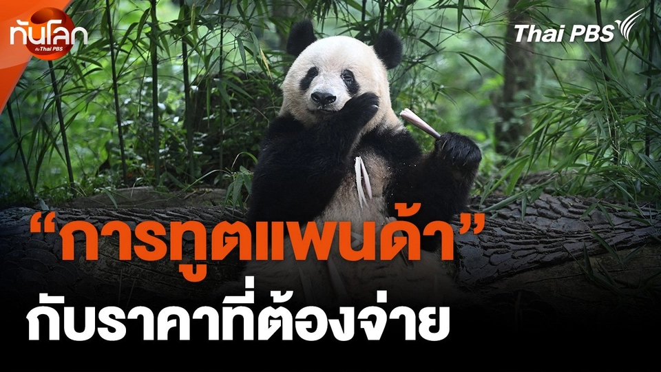 การทูตแพนด้ากับราคาที่ต้องจ่าย