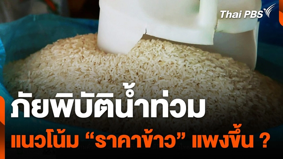 ภาพรวมและแนวโน้ม "ราคาข้าว" หลังเกิดน้ำท่วม