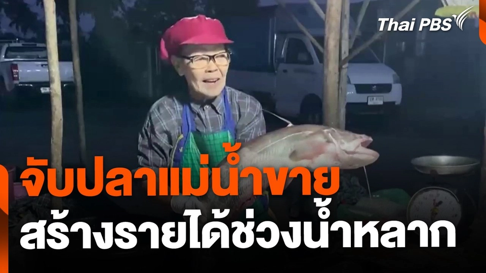 จ.ชัยนาท จับปลาแม่น้ำขายช่วงน้ำหลาก สร้างรายได้