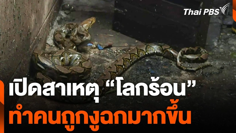 เปิดสาเหตุ "โลกร้อน" ทำคนถูกงูฉกมากขึ้น