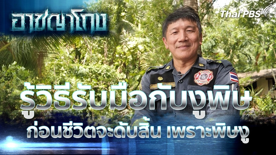 รู้วิธีรับมือกับงูพิษ ก่อนชีวิตจะดับสิ้น เพราะพิษงู