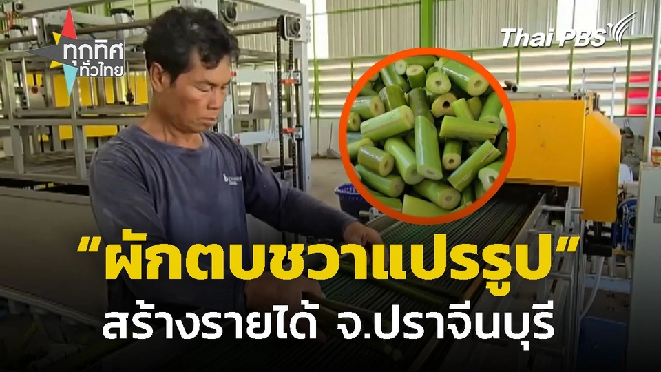 โรงงานแปรรูปผักตบชวาสร้างรายได้ จ.ปราจีนบุรี